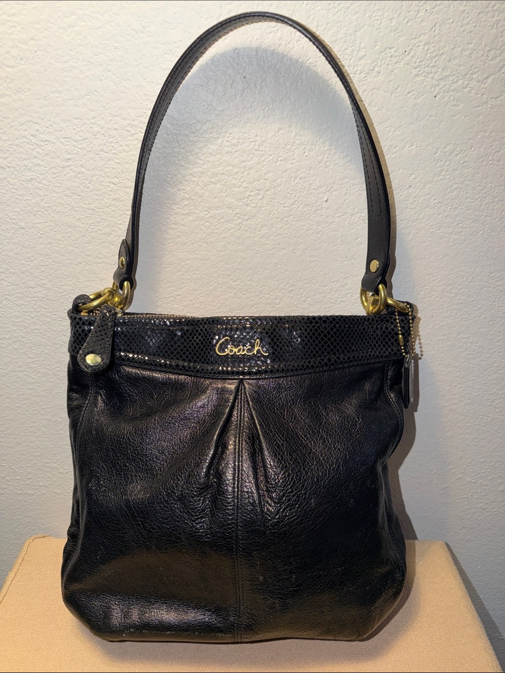 Coach Ashley Hobo Bag